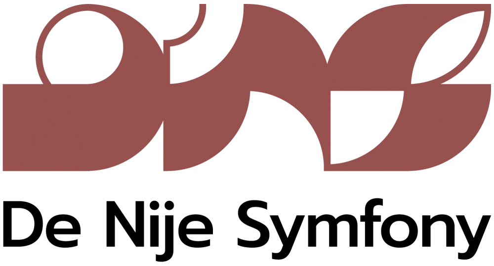 DNS-logo-Rood-Basis_Logo_1000_539